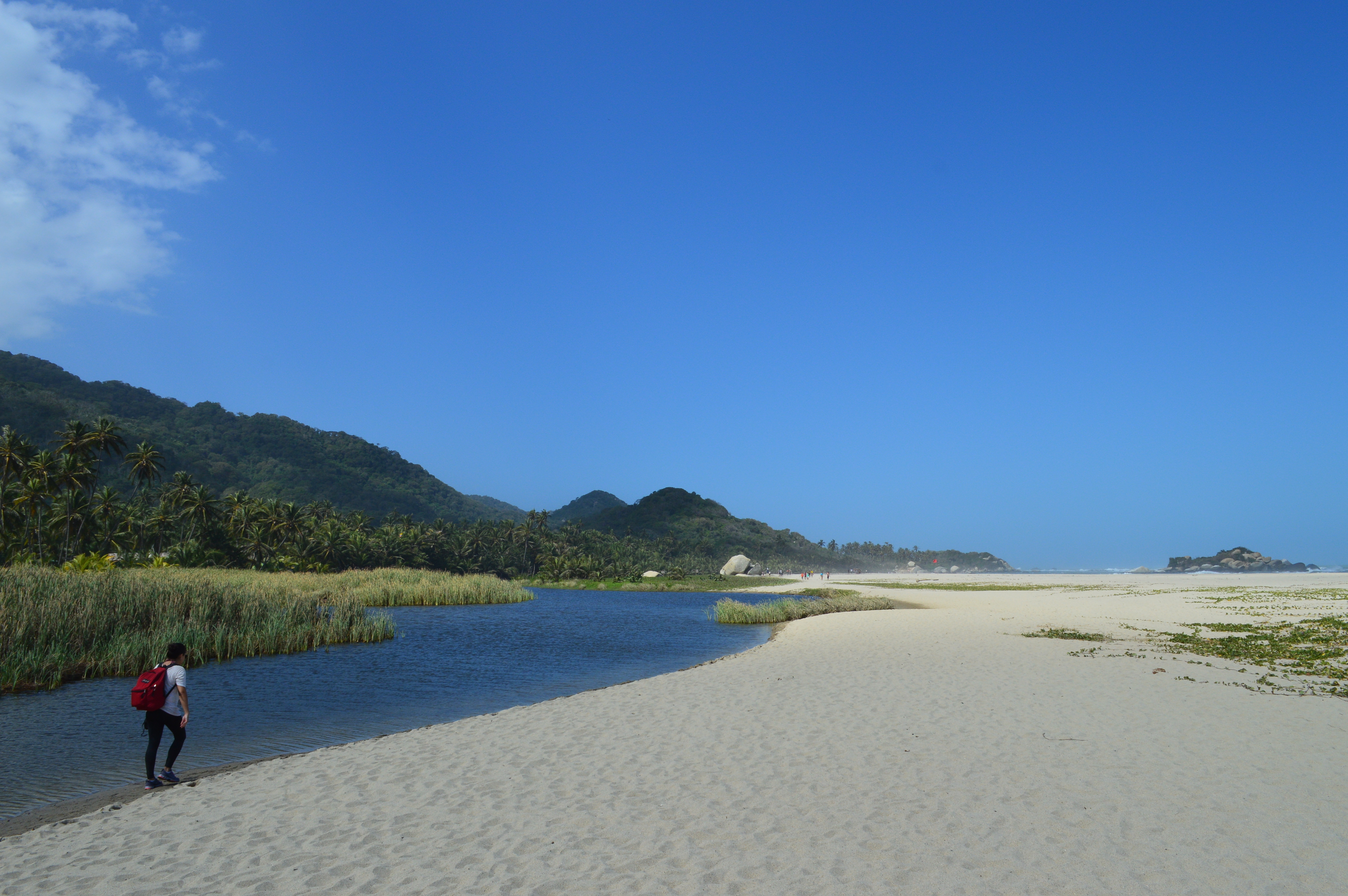 Trilha para playa cado de san juan