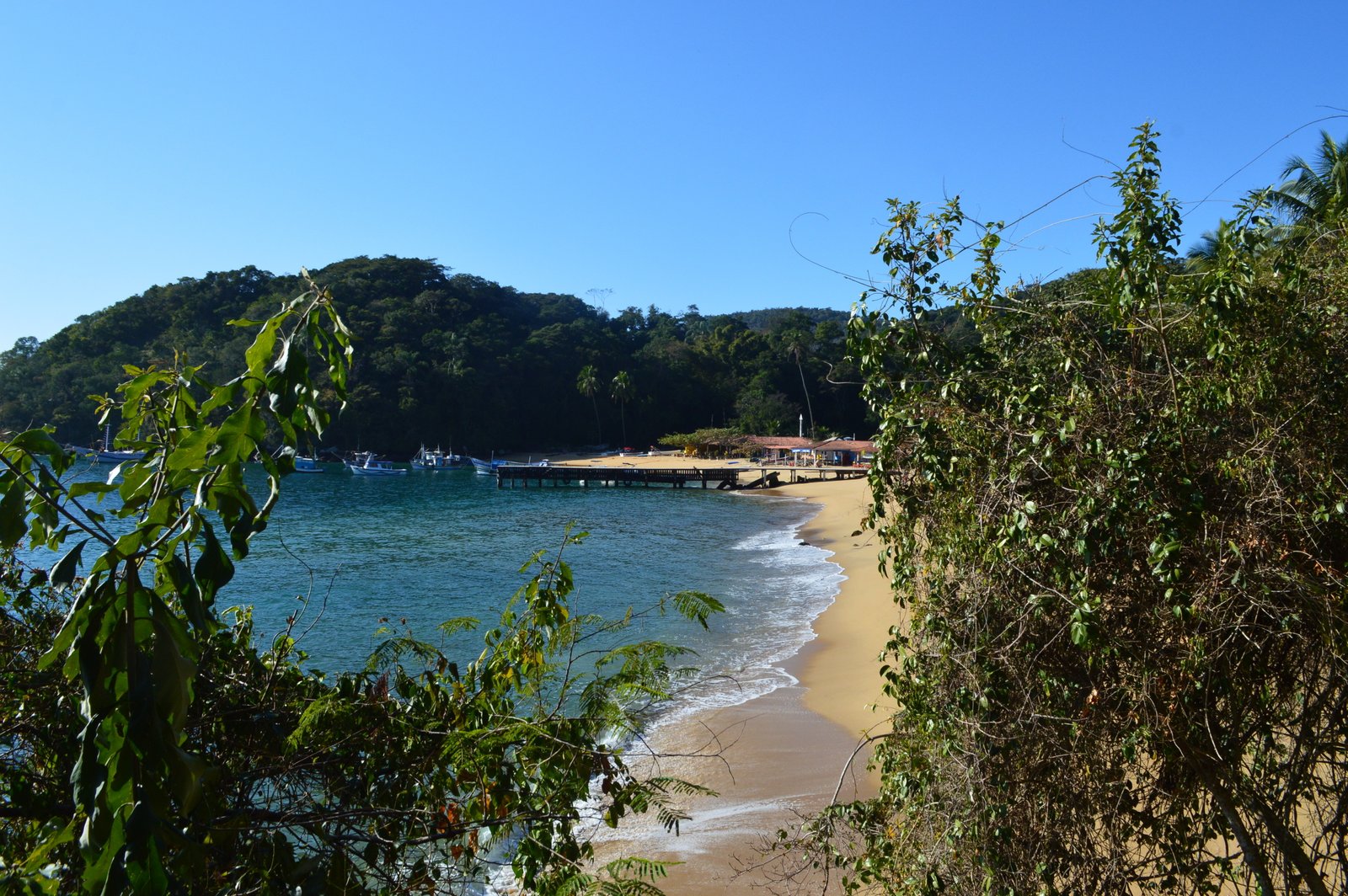 Ilha Grande