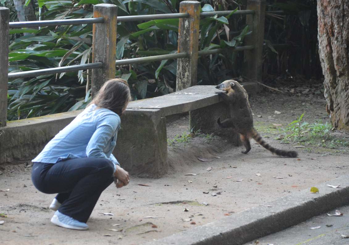 Interesse nos outros. Ainda temos?