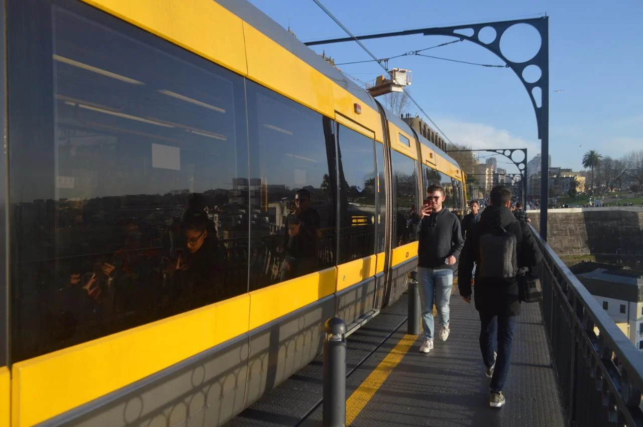 Miolo do mundo. Viagens. viajantes brasileiros