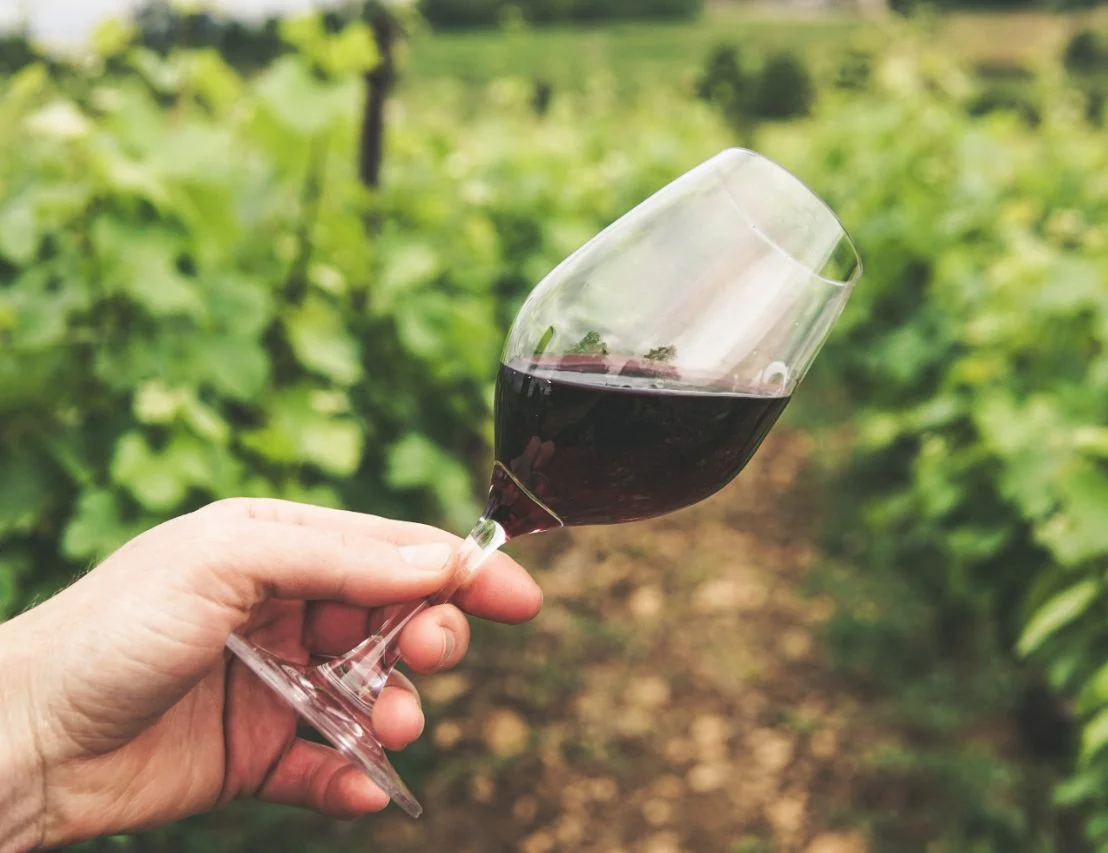 World of Wine Festival de Vinhos