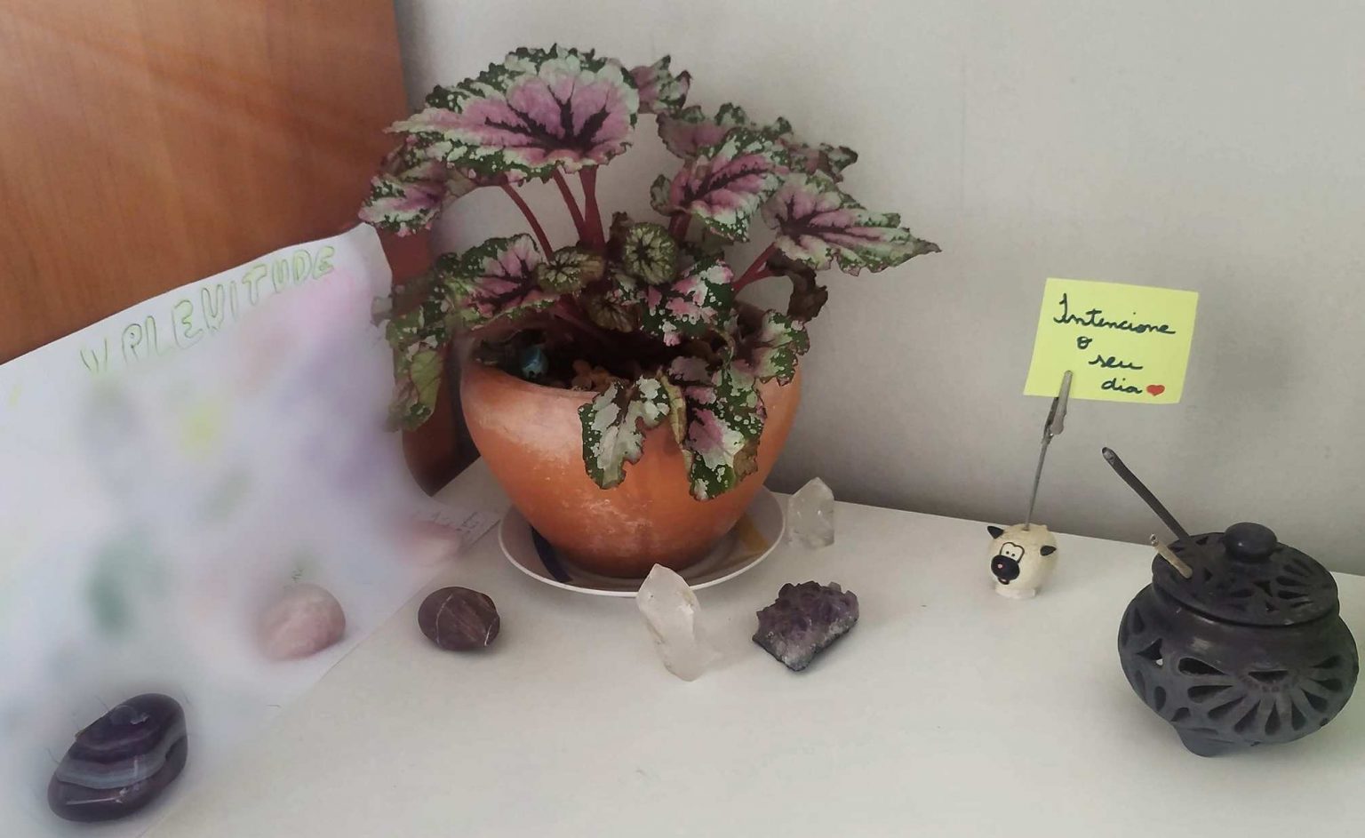 Despedida do inverno