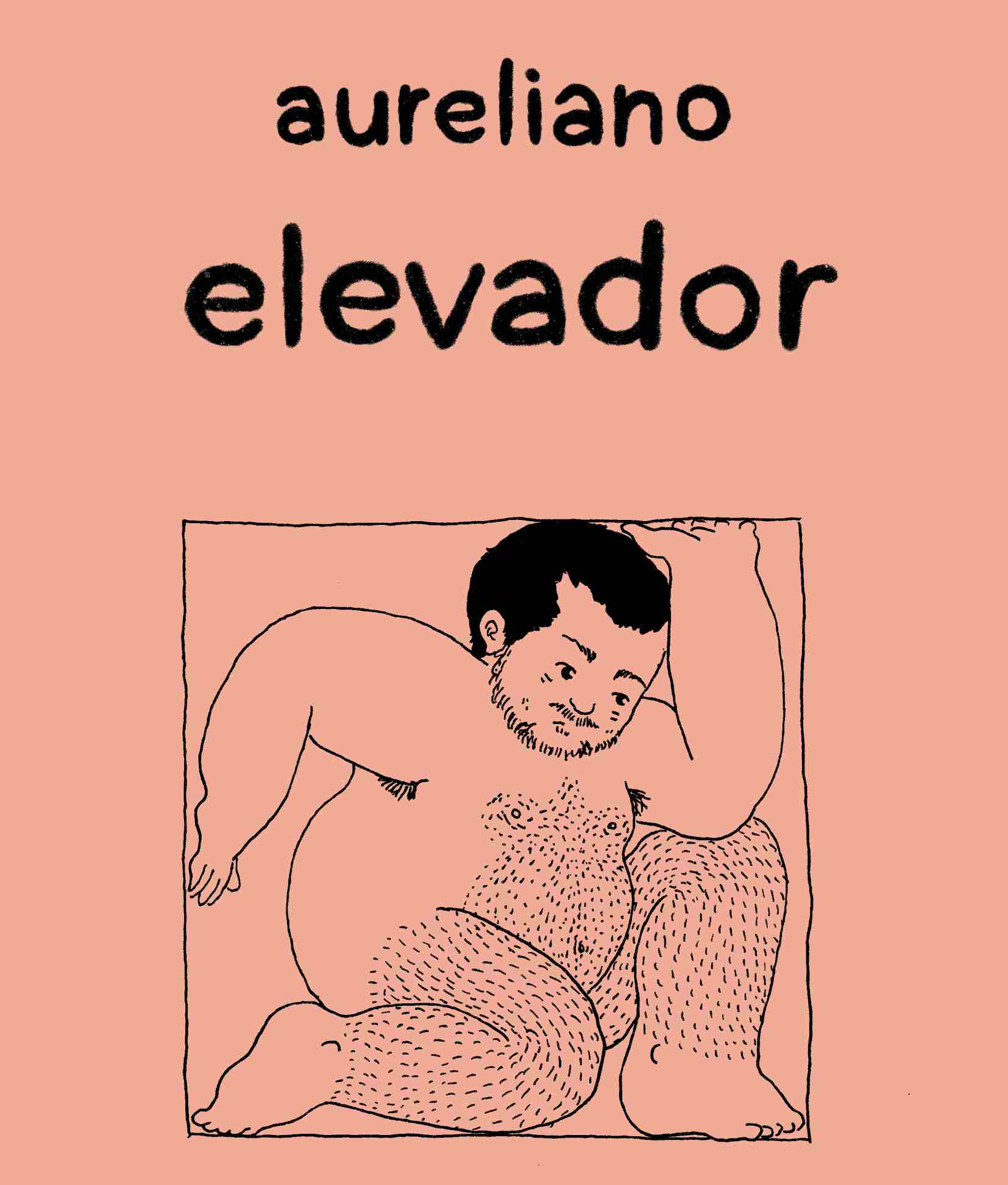 elevador de aure