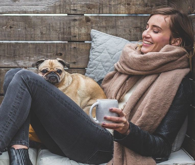 Cinesystem Cinema Pet Friendly