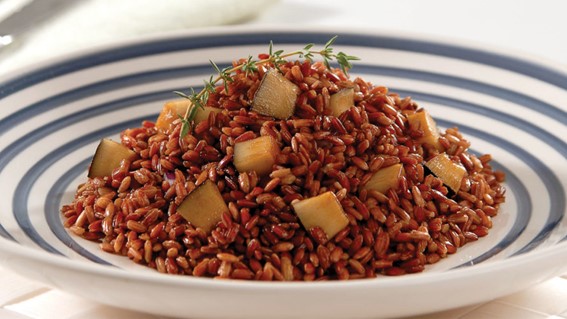 dia mundial do veganismo receitas de arroz