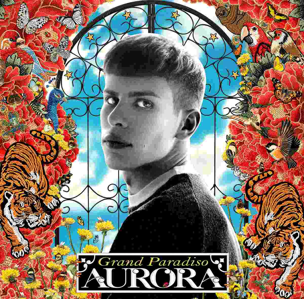 aurora grand paradiso