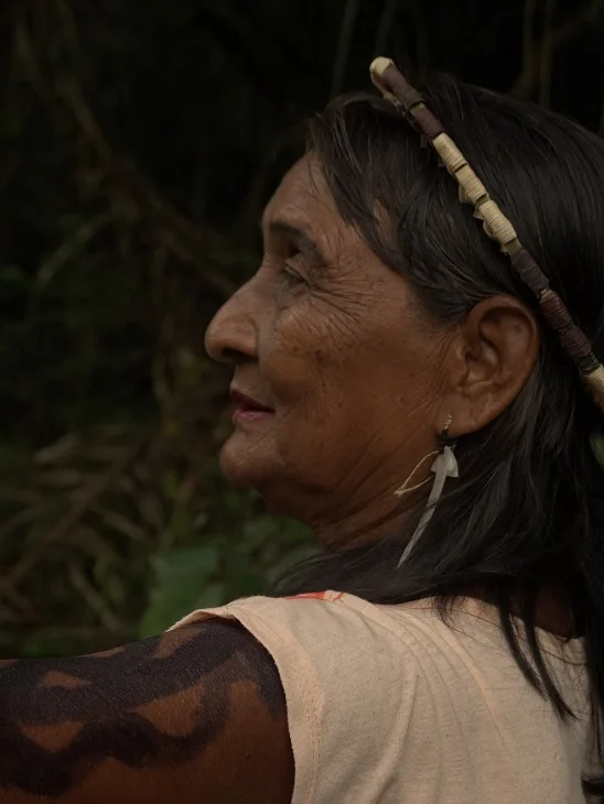 A série Amazônia, Arqueologia da Floresta
