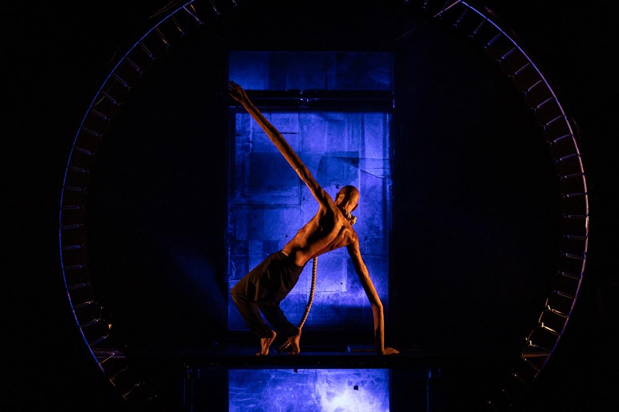 Enquanto você voava eu criava raízes Dos à Deux