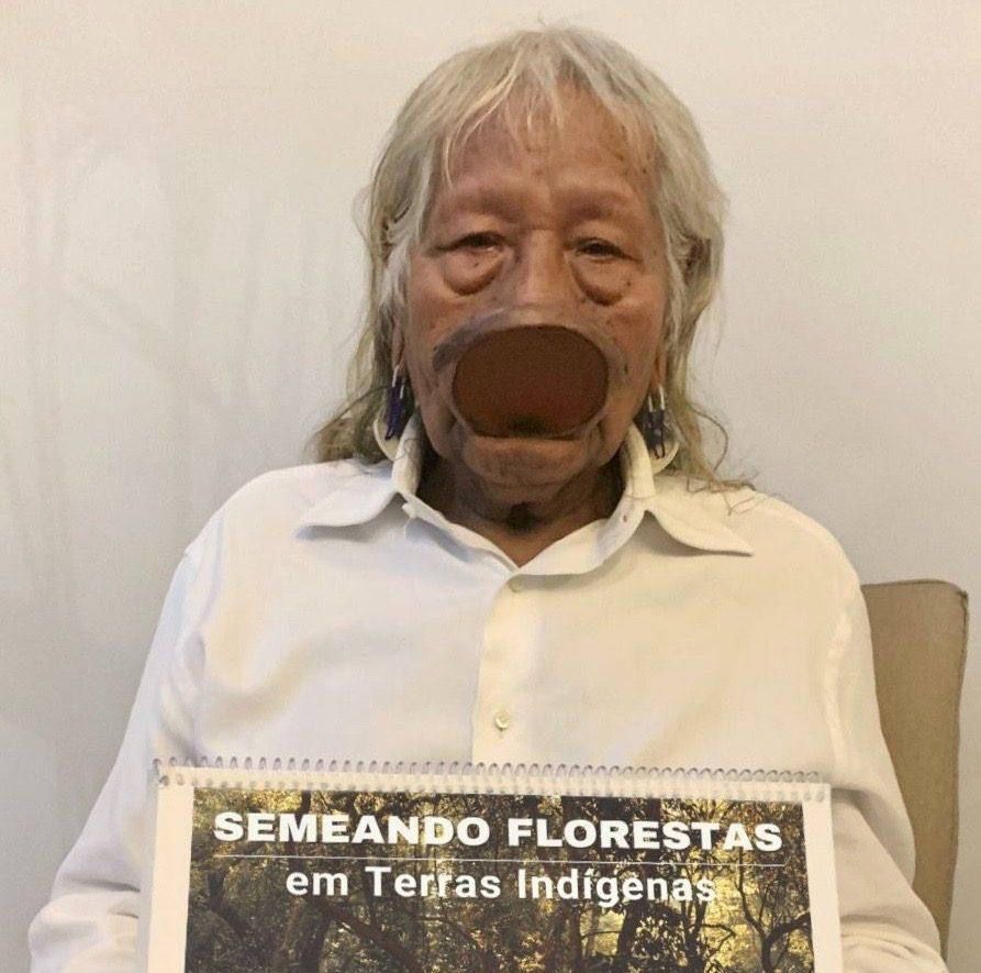 Curso EaD 'Semeando Florestas em Terras Indígenas' é oferecido de forma gratuita pelo Parlamento Indígena do Brasil