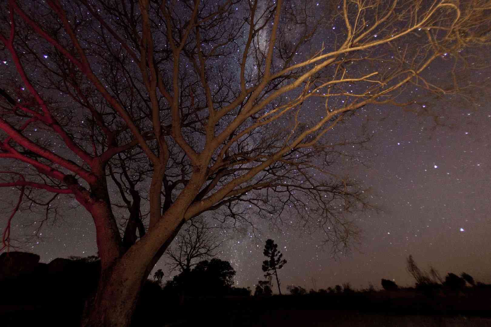 foto noturna de sergio mendonca