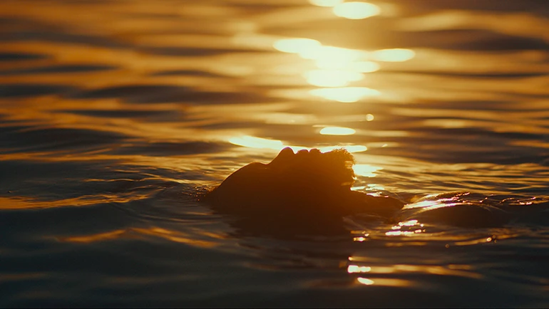 Sucesso no festival de Tribeca, ESTRANHO CAMINHO estreia nesta quinta-feira