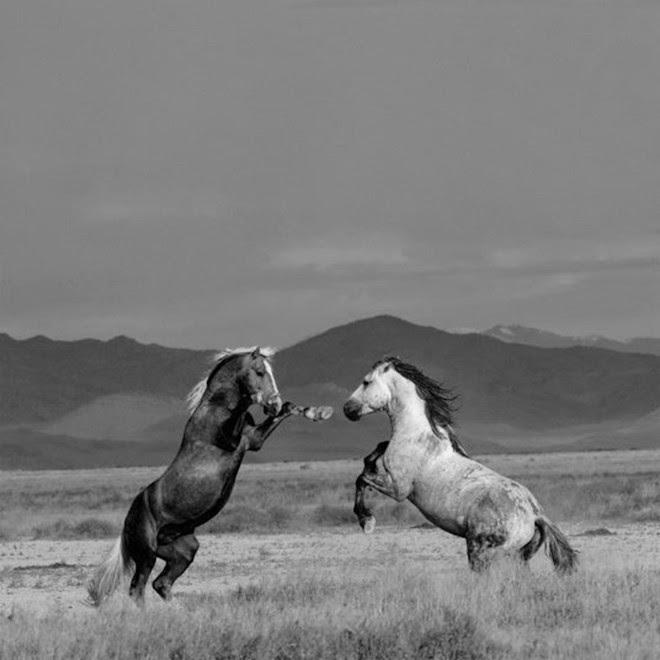 Confira as novidades da música brasileira, de Jão e Gustavo Mioto, Felipe Araújo, HITMAKER, MC Menor do Alvorada, Bia Marques, Malive, MC Zaquin, Jovem Blues, Furio e Fernanda Young, Pedro Eleftheriou e muito mais