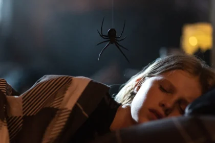 resenha sting aranha assassina