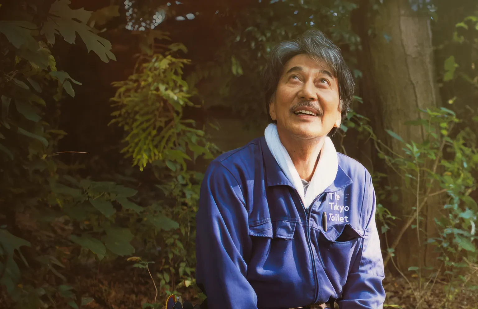 dias perfeitos volta ao cinema