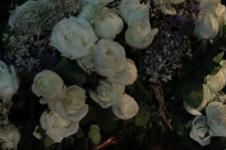 Exposição Rainha F