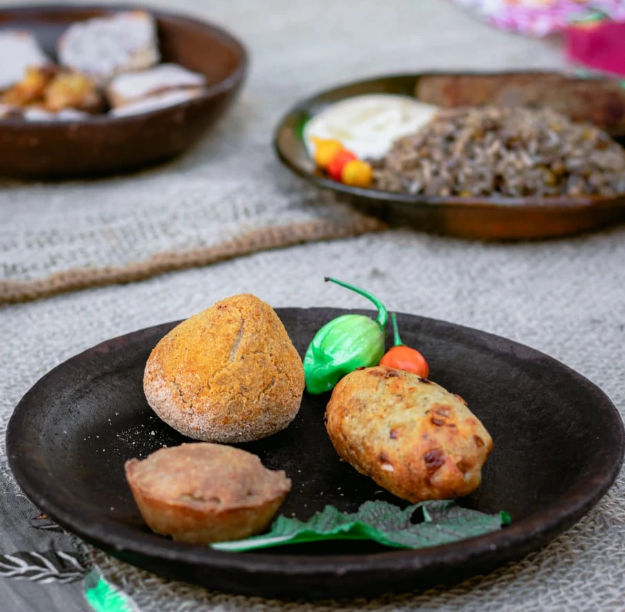 Cachoeiras de macacu veg turismo vegano