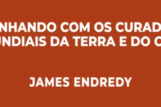 resenha Xamanismo Para Iniciantes Caminhado com os Curadores Mundiais da Terra e do Céu