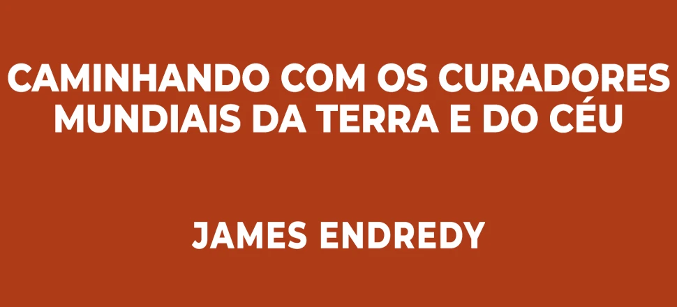 resenha Xamanismo Para Iniciantes Caminhado com os Curadores Mundiais da Terra e do Céu