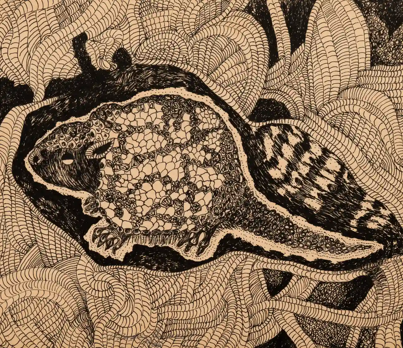 arte de graça Wanda Pimentel_Sem ti?tulo, da se?rie Animais Preto_Branco _ Untitled, from the Black_White Animals series]_Ph Eduardo Ortega_DDM