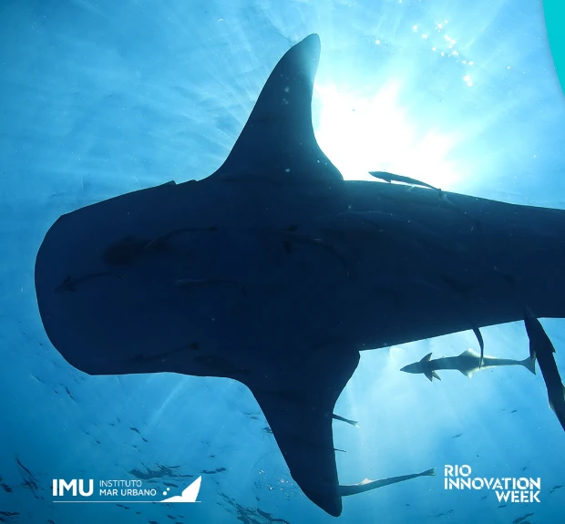 instituto mar urbano rio innovation week