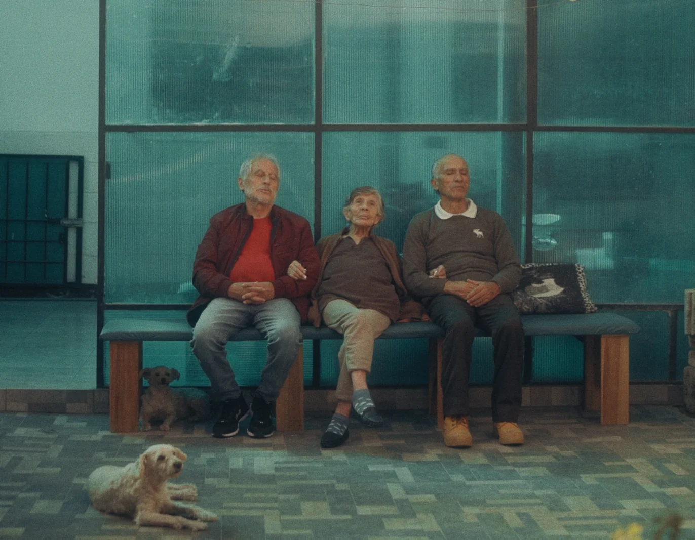 Cine Ceará consagra “Eco de Luz”; veja todos os vencedores