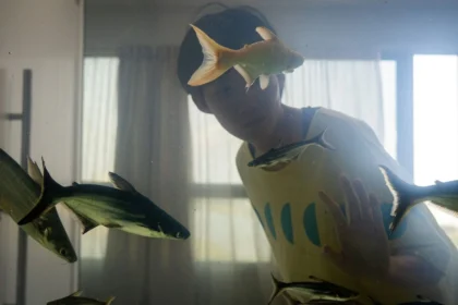 Dormir de Olhos Abertos