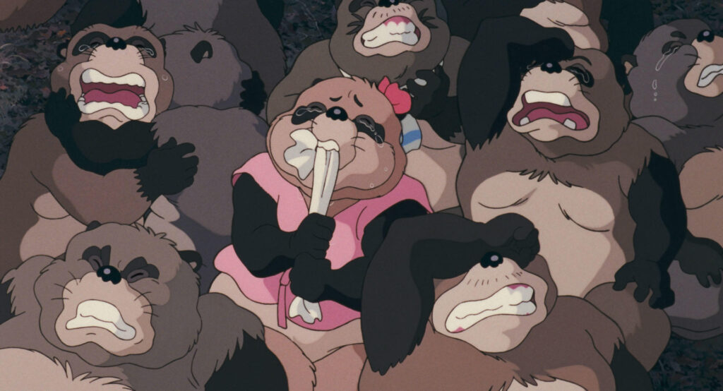 Ghibli Fest- Guaxinins