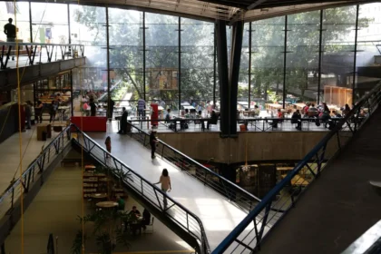 ccsp cartas para um jovem escritor