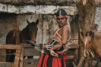 Joãosinho da Goméa