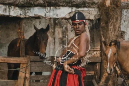 Joãosinho da Goméa