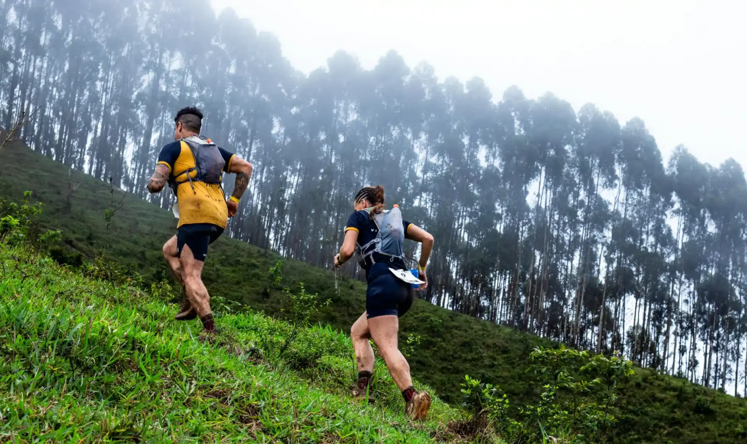 Com inscrições esgotadas e mais de 1.800 atletas de nove nacionalidades, a etapa decisiva da World Trail Races (WTR) movimenta o Vale das Videiras, em Petrópolis, com premiação histórica, ações sustentáveis e a festa dos campeões na WTR Awards