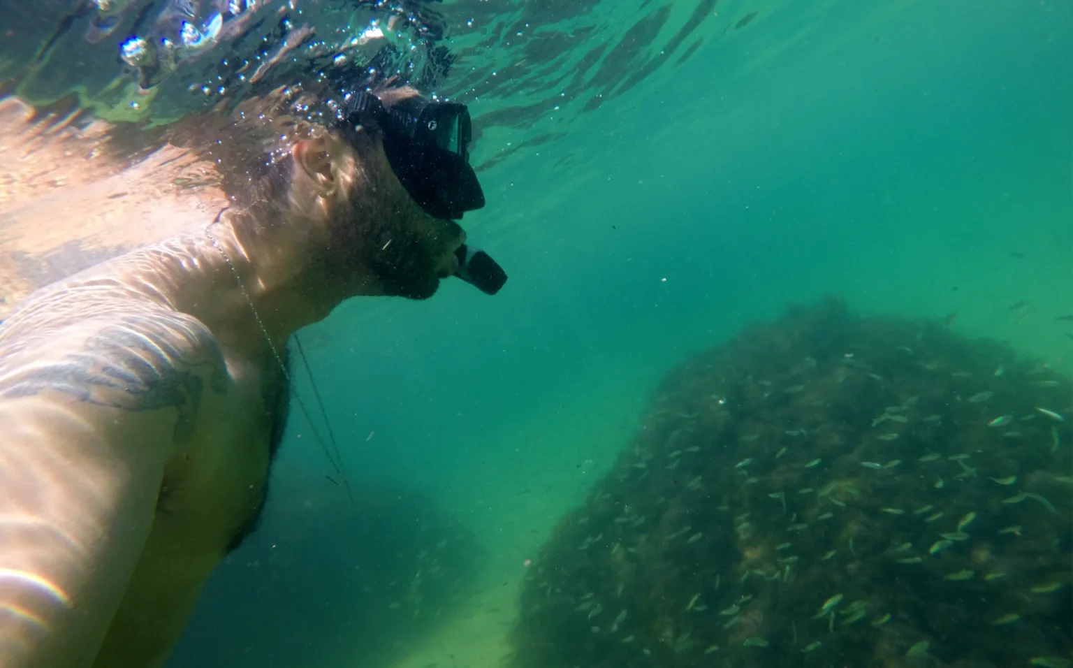 destino dos milionarios no reveillon