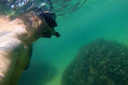 destino dos milionarios no reveillon