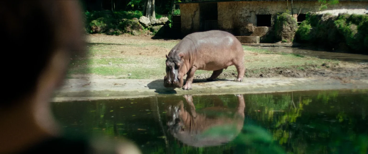 Cena de "Zafari"- Divulgação Vitrine Filmes