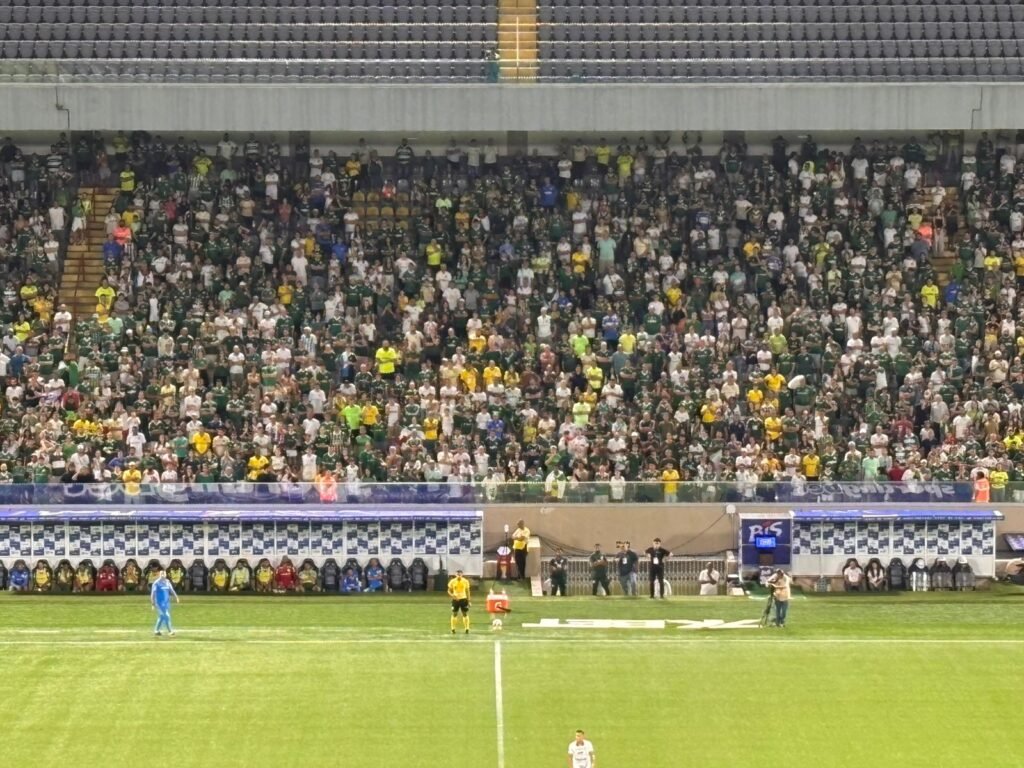 Foto: Luis Gustavo Marine Palmeiras