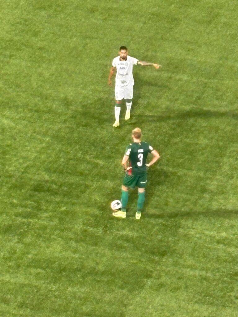 Foto: Luis Gustavo Marine palmeiras