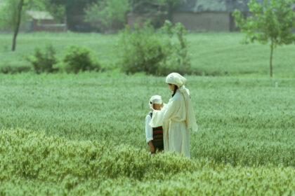 Cena de "Living the Land"- Divulgação Autoral Filmes