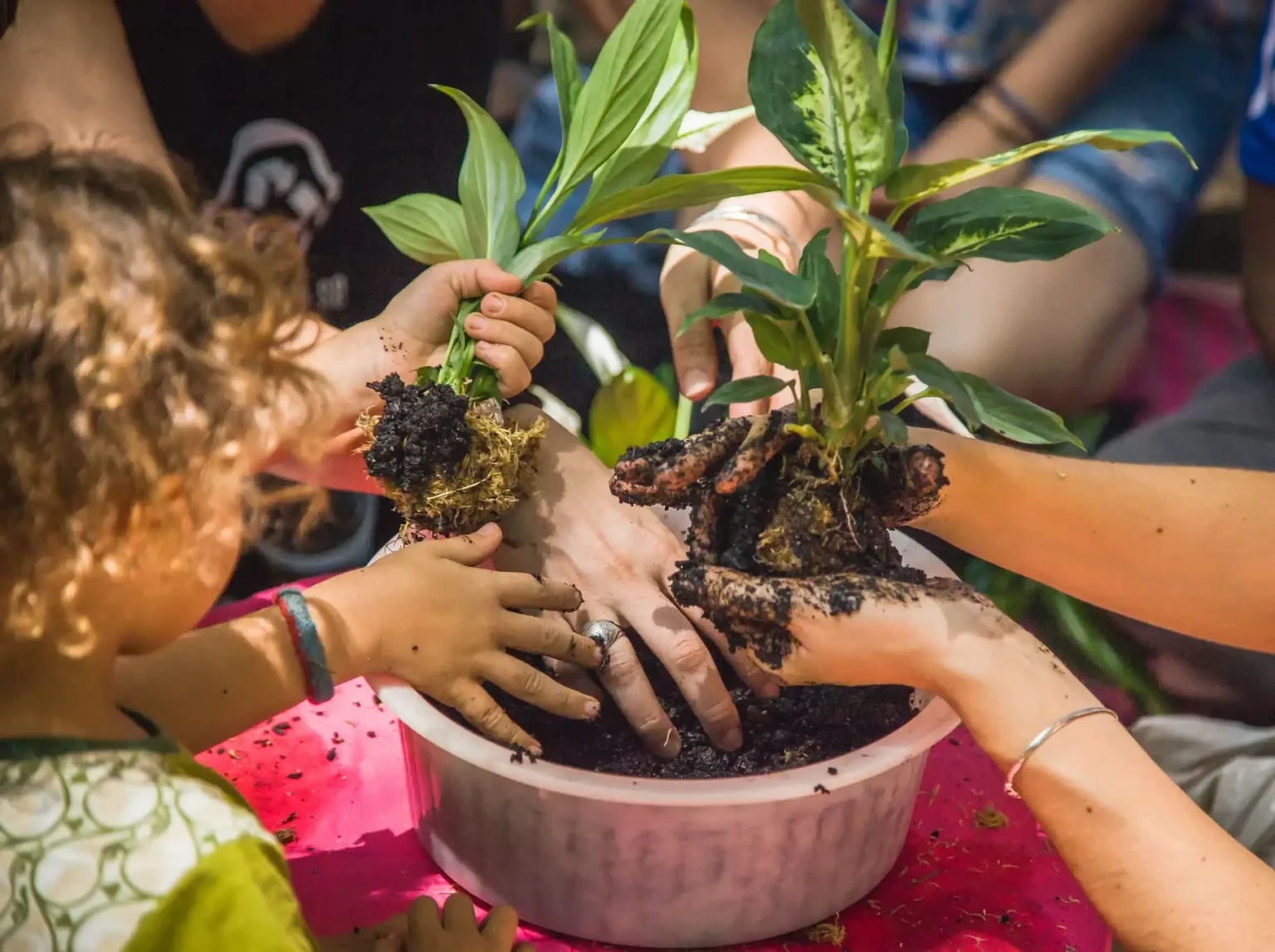 Divulgação | Festival Desapegue-se