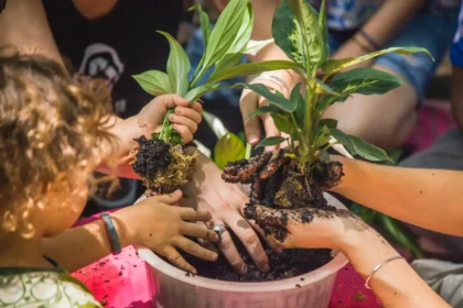 Divulgação | Festival Desapegue-se