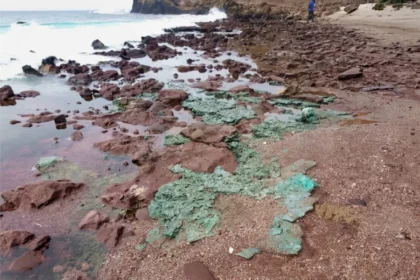 Registro de rochas plásticas observadas em praia da ilha de Trindade / Arquivo de Fernanda Avelar Santos poluição marinha