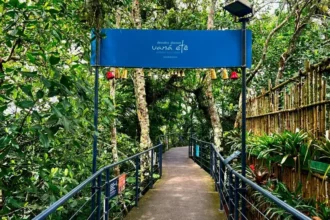 Uaná Etê na Via Verde do Morro da Urca. Foto: divulgação/Parque Bondinho Pão de Açúcar®