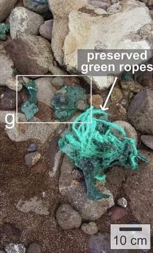 Registro de rochas plásticas observadas em praia da ilha de Trindade / Arquivo de Fernanda Avelar Santos poluição marinha