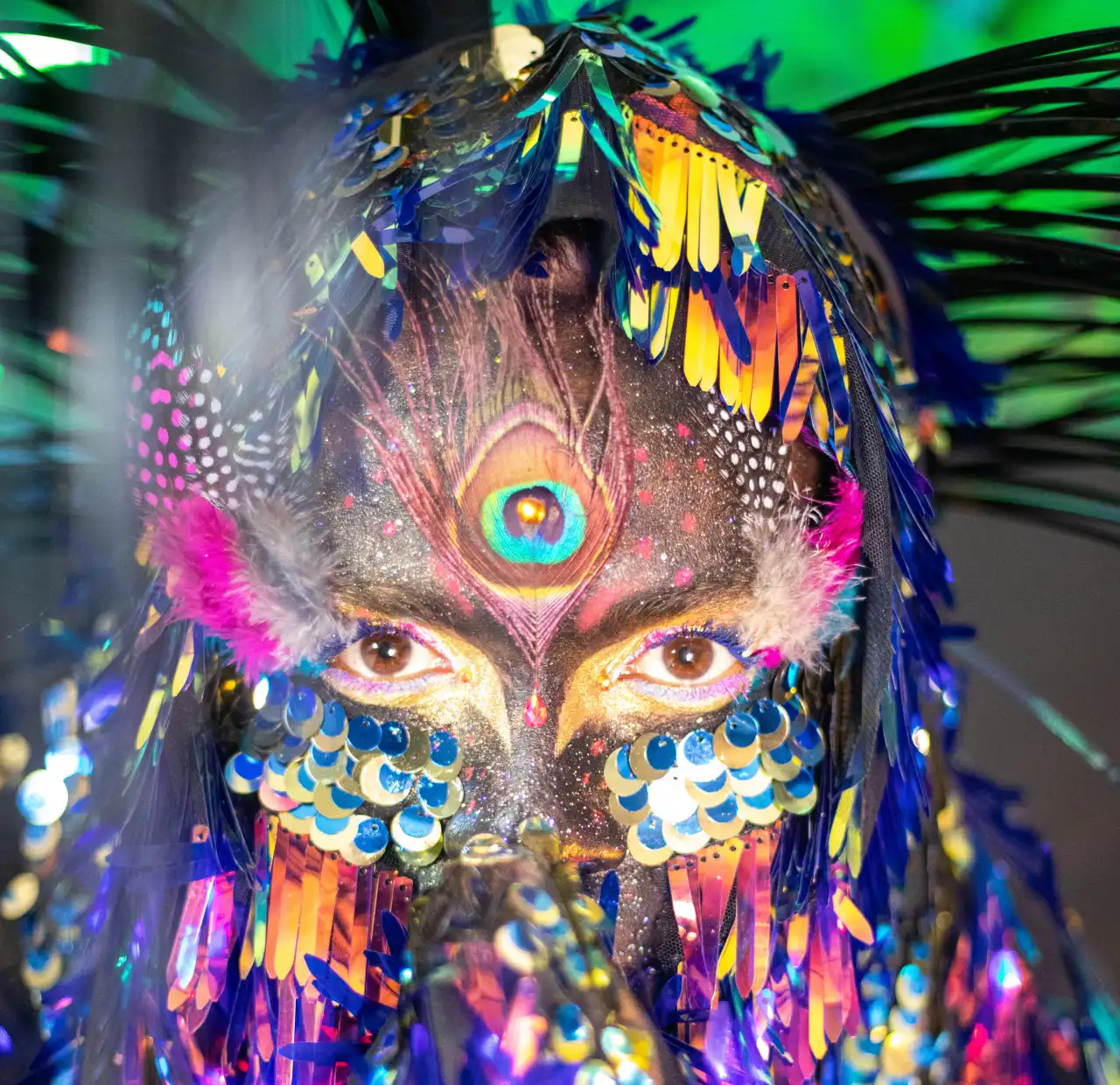 a transalien exposição rio, exposição abapira 2026