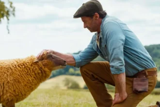 Hugh Jackman em "As Ovelhas Detetives"- Divulgação Sony Pictures