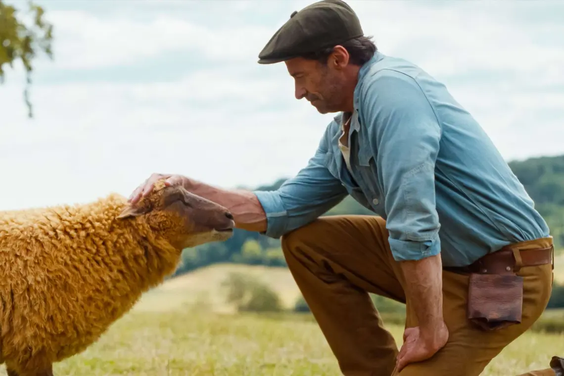 Hugh Jackman em "As Ovelhas Detetives"- Divulgação Sony Pictures