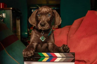 Netflix encerra as gravações de Scooby-Doo: A Origem, série live-action que mostrará o primeiro mistério da turma e terá um cachorro de verdade como Scooby.