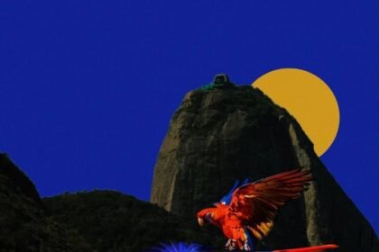 Bienal de Papel e Fotografia no Rio: datas e entrada gratuita