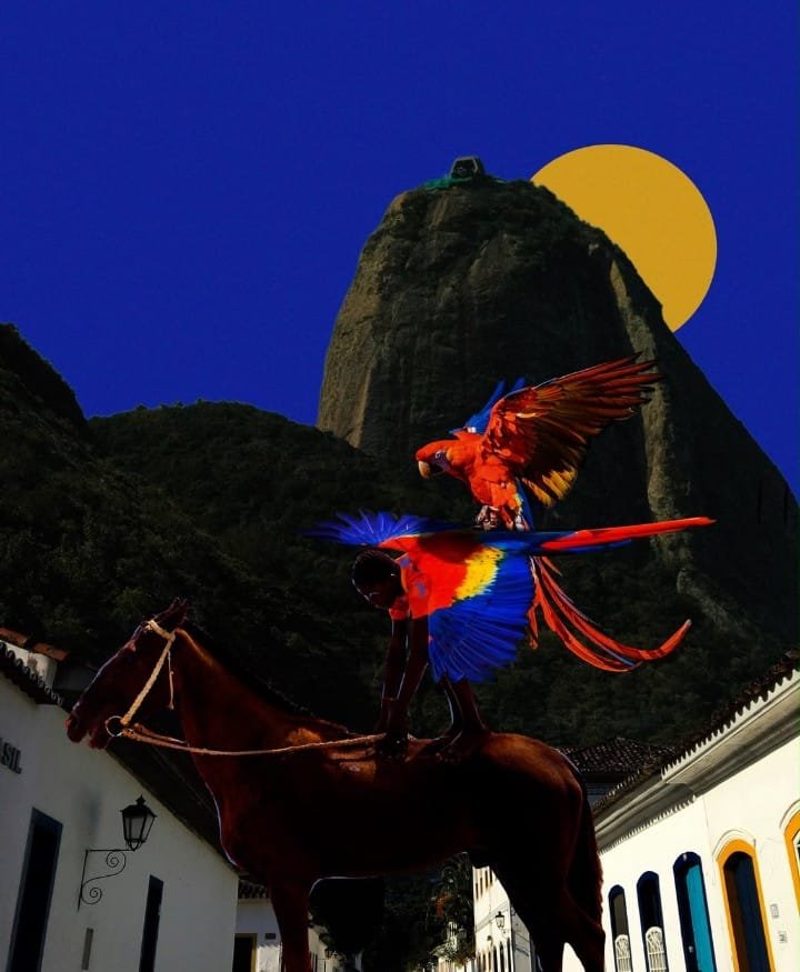 Bienal de Papel e Fotografia no Rio: datas e entrada gratuita