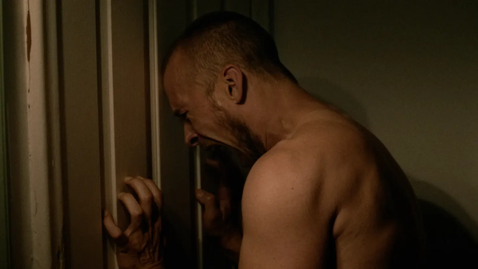 Lou Taylor Pucci em cena de "A Caixa do Demônio"- Divulgação Diamond Pictures Br